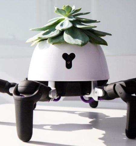 Picture 12 Amazing Robots You’ve Never Seen