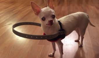 Picture 10 Unusual Inventions that Are Actually Wholesome