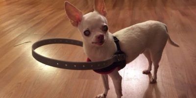 Picture 10 Unusual Inventions that Are Actually Wholesome