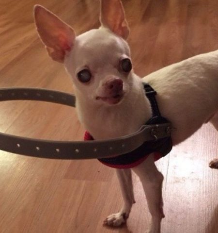 Picture 10 Unusual Inventions that Are Actually Wholesome