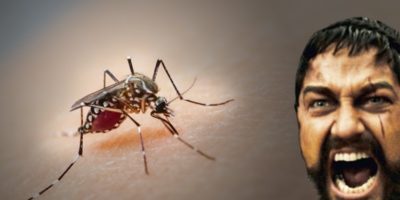 Picture Why Can’t We Simply Eradicate Mosquitoes?