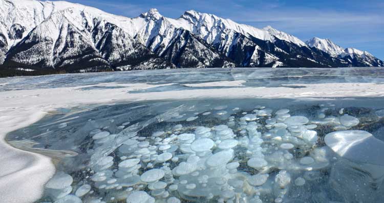 Abraham lake winter ice formation bubbles