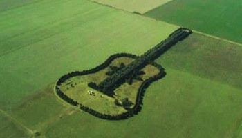 Picture A Man Planted a Guitar-Shaped Garden in Memory of His Late Wife