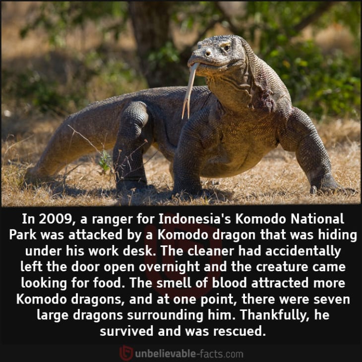 Indonesia's Komodo National Park