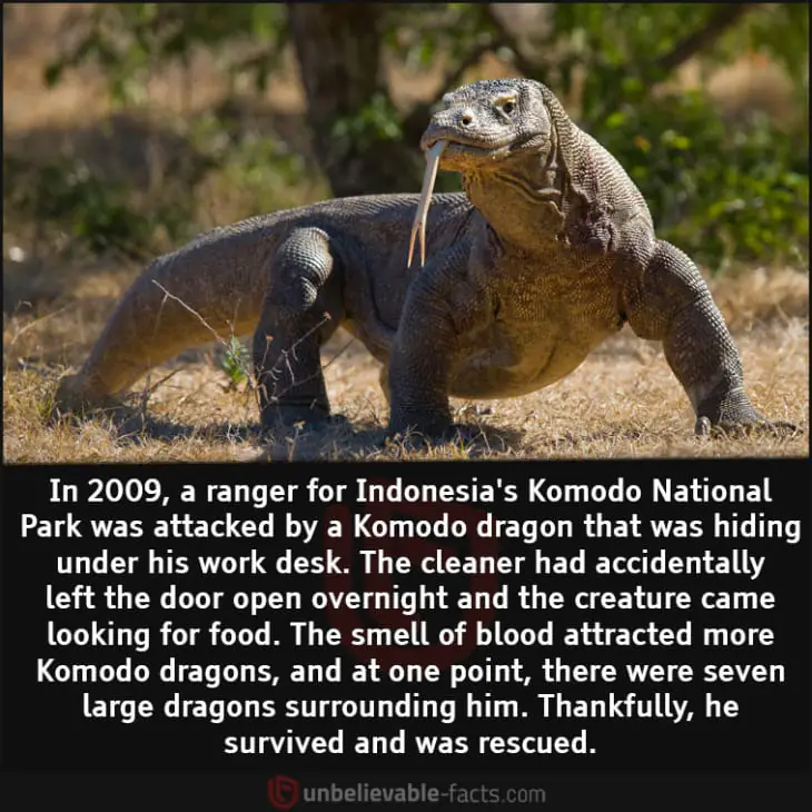 Indonesia's Komodo National Park
