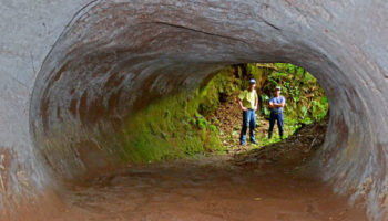 Picture Palaeoburrows are Huge Tunnels Dug by Extinct Species of Giant Ground Sloth