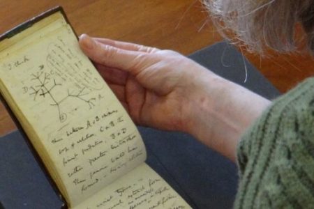 Picture Missing Charles Darwin Notebooks Mysteriously Returned After About Two Decades