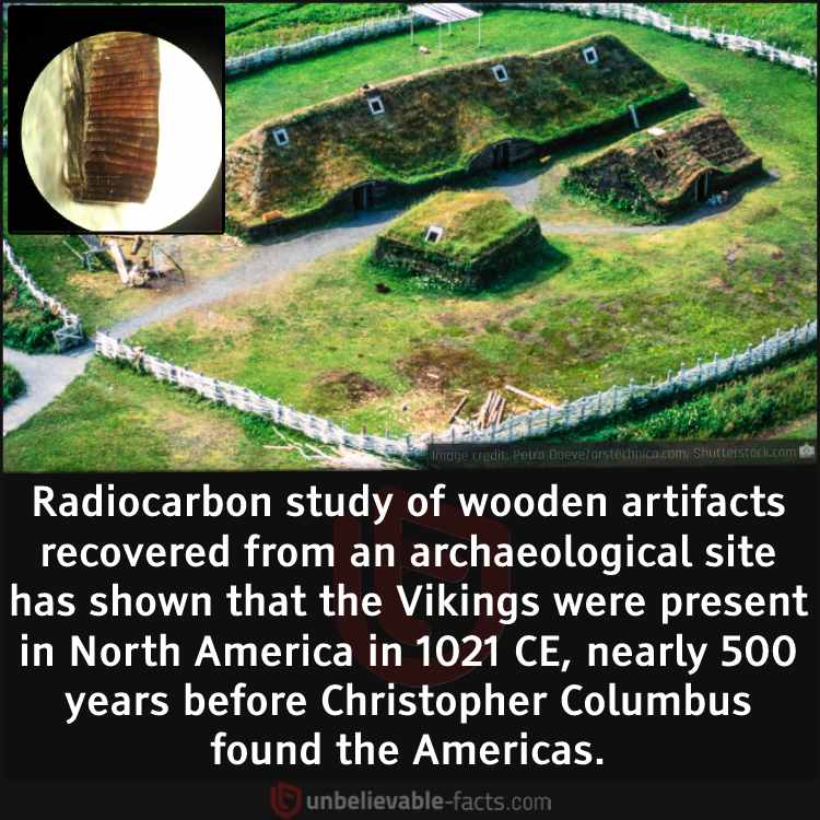 Vikings Discovered America