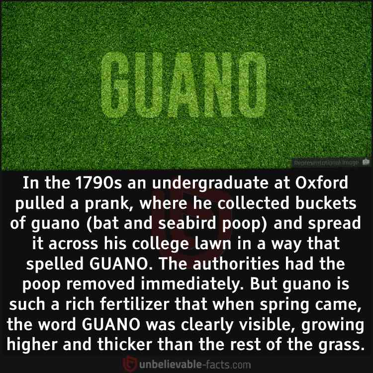 Oxford Poop Prank