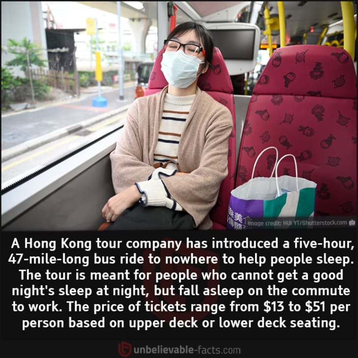 A Special Bus Ride That's Meant to Make You Sleep