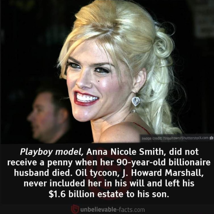 Anna Nicole Smith fact