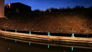 Picture Company Plans to Light Up French Town with Bioluminescent Bacteria