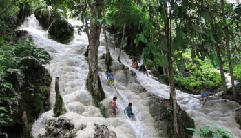 Picture Sticky Waterfalls or Bua Tong in Chiang Mai