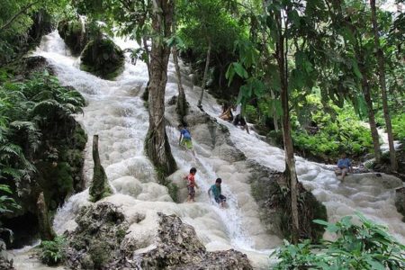 Picture Sticky Waterfalls or Bua Tong in Chiang Mai