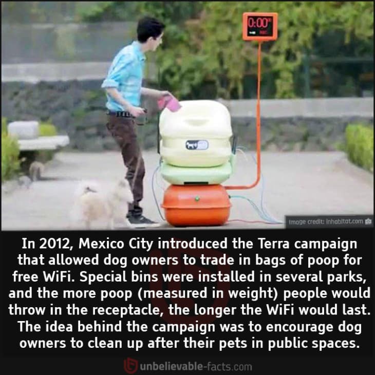 Dog Owners Can Trade Bags of Poo for Free WiFi in Mexico City