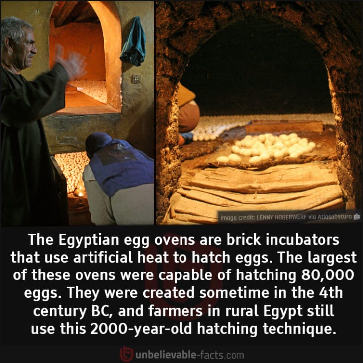 Egyptian Egg Ovens from the 4th Century BC