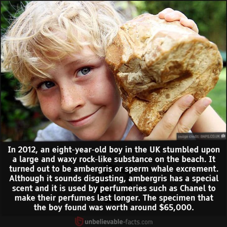 Eight-Year-Old Stumbles Upon Unlikely Treasure