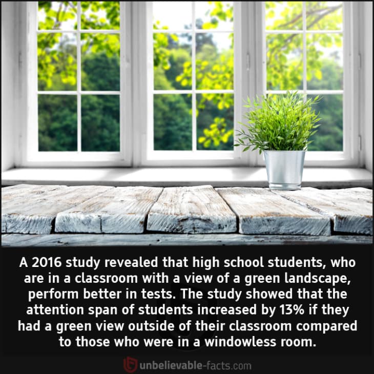 Greenery Helps Students Perform Better