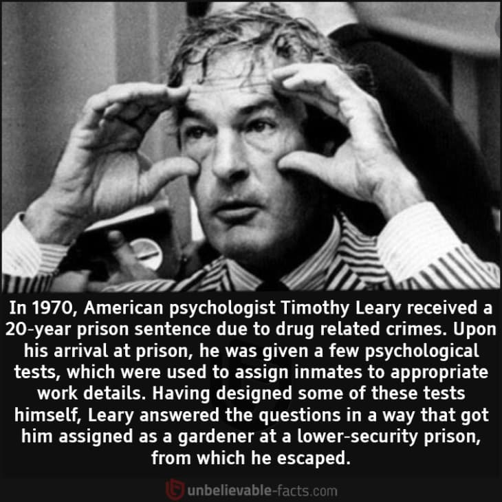 How Timothy Leary Escaped Prison