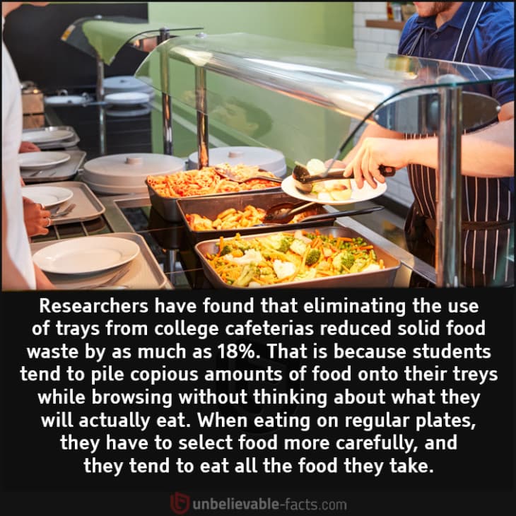 How to Reduce Food Waste in College Cafeterias?