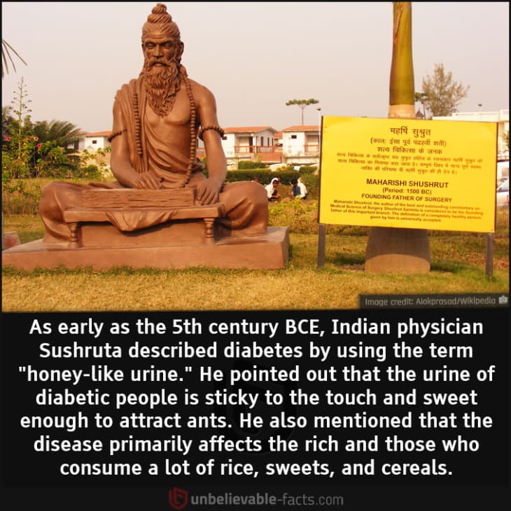 Indian Physicians Knew about Diabetes as Early as the 5th Century BCE