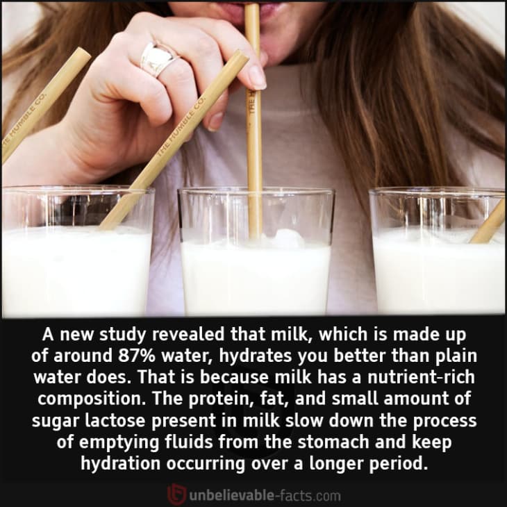 Is Milk Better for Hydration Than Water?