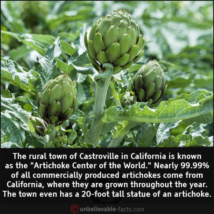 Nearly All the Artichoke in the World is Produced Here