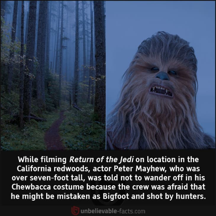 Peter Mayhew was Told Not to Wander During the Shoot of Return of the Jedi