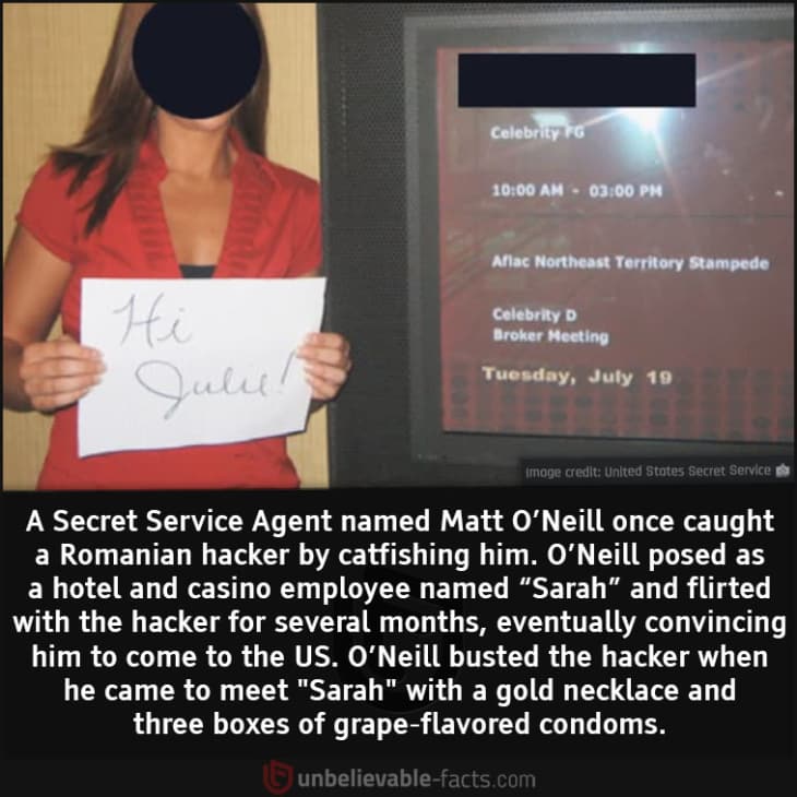 Secret Service Agent Catfished and Caught Hacker