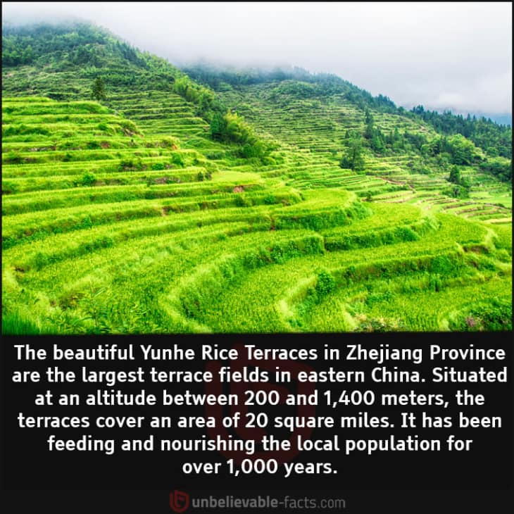 The Incredibly Beautiful Yunhe Rice Terraces