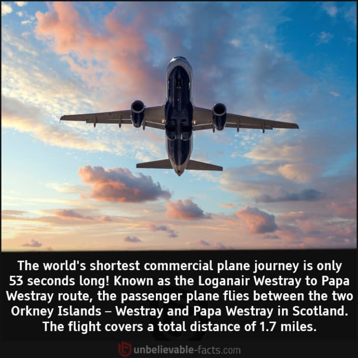 The Shortest Commercial Plane Journey in the World