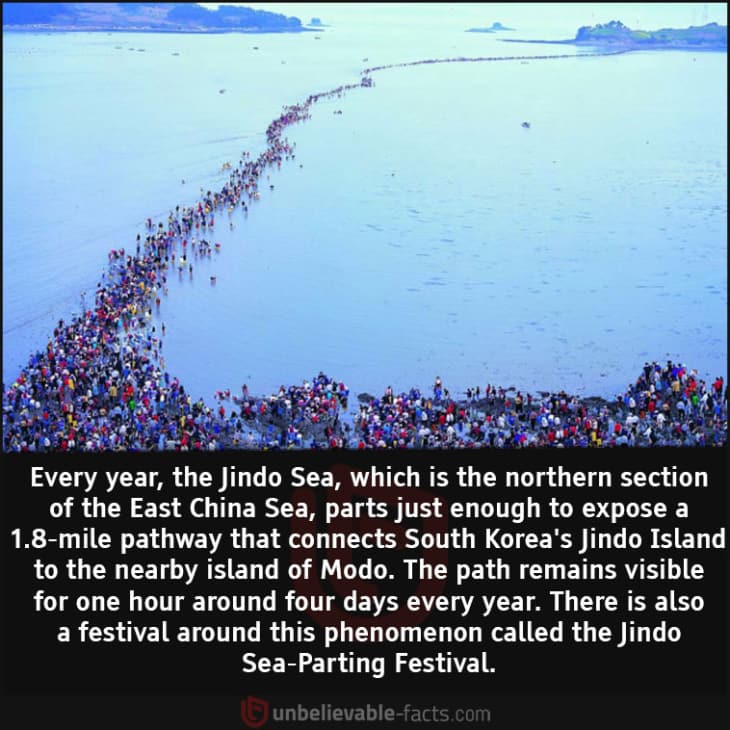 The Time of Year when the Jindo Sea Parts to Reveal a Pathway