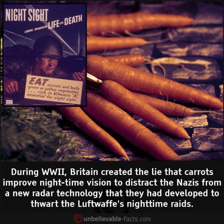 The Truth Behind the Myth that Carrots Improve Night Vision