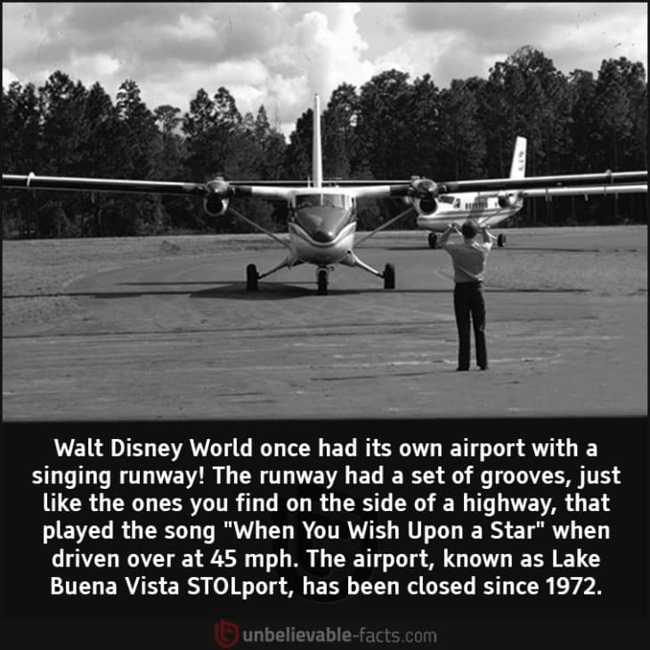 Walt Disney World Once Had its Own Airport