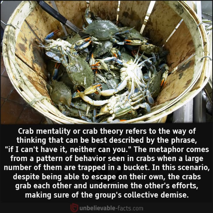 What Does Crab Mentality Mean?