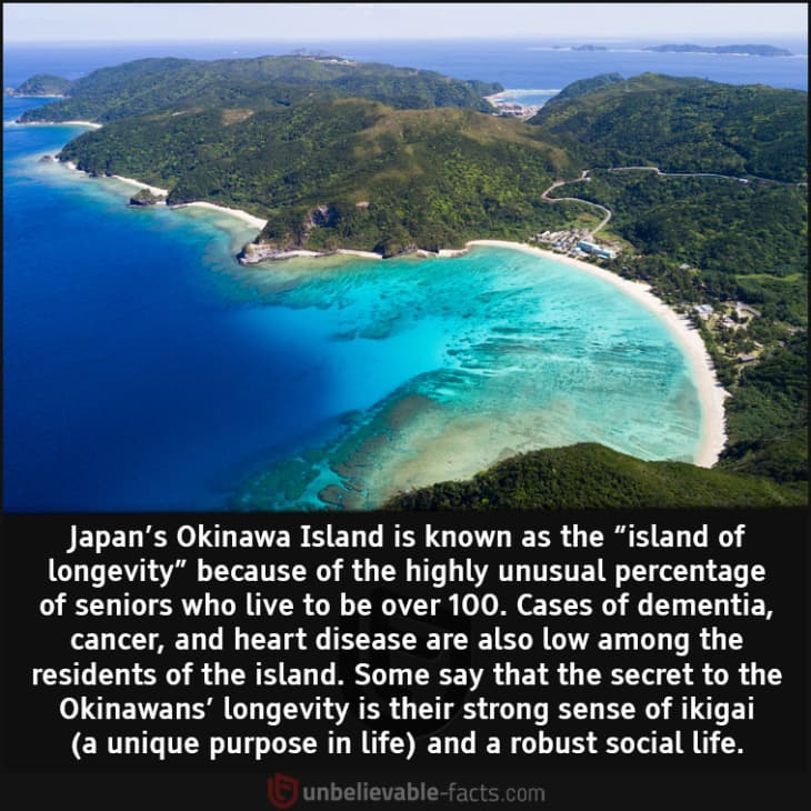 What is Okinawa Island Known for?