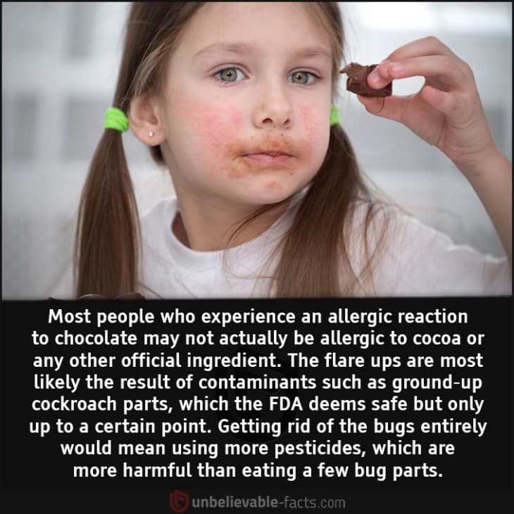 What is the Actual Cause of Chocolate Allergy?