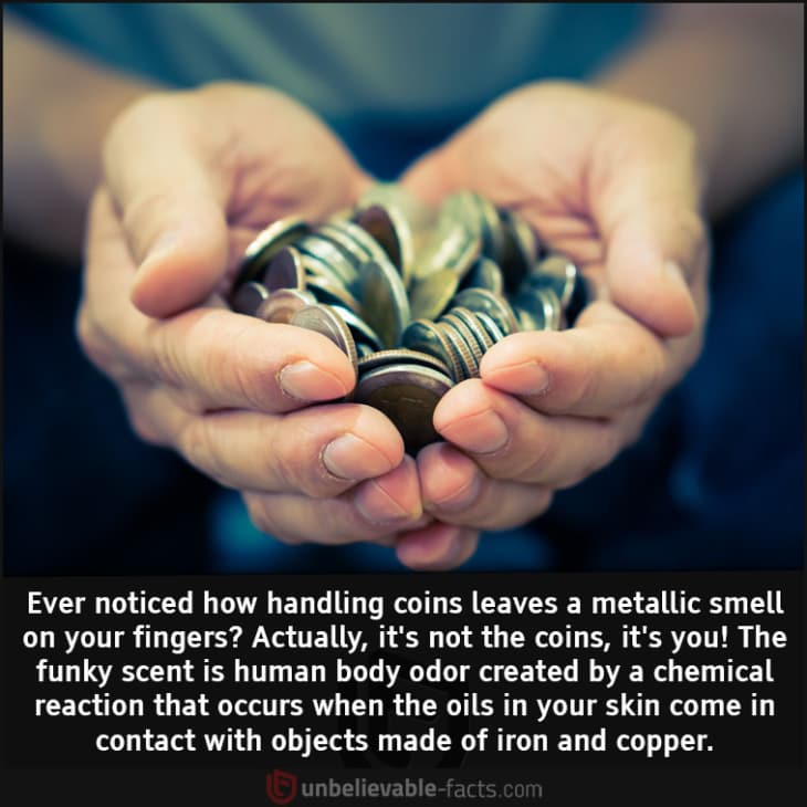 Why Do Coins Make Your Fingers Smell?