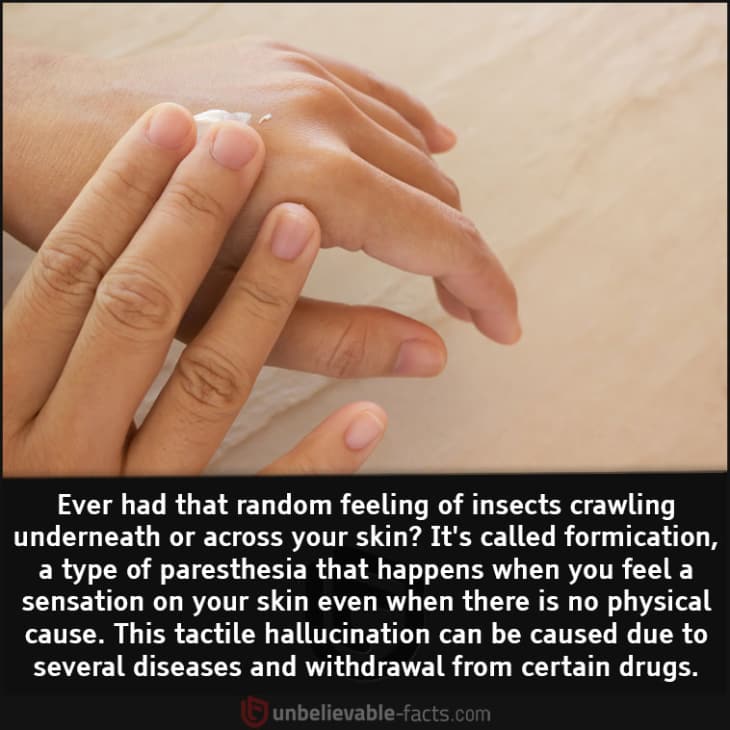 Why Do You Feel Like Insects are Crawling Underneath Your Skin?