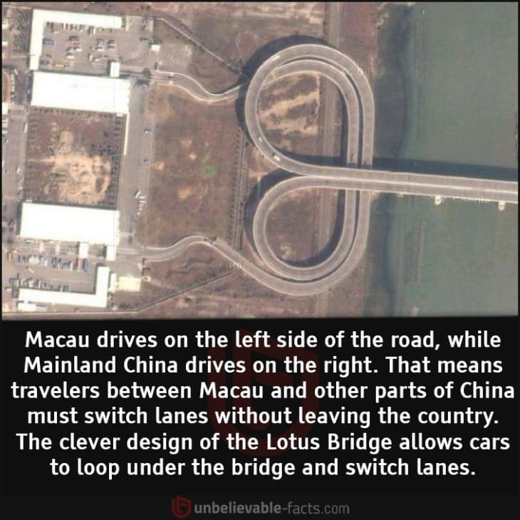 Why is the Lotus Bridge Designed That Way?