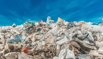 Picture Scientists Have Created an Enzyme That Eats Plastic