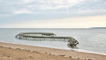 Picture Serpent d’Océan – a 425-Foot Giant Skeleton Sculpture