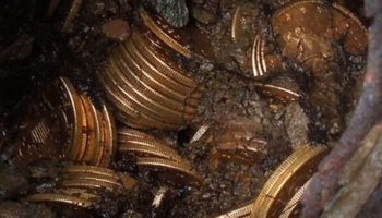 Picture Couple Finds Rare Gold Coins Buried in Norther California Property