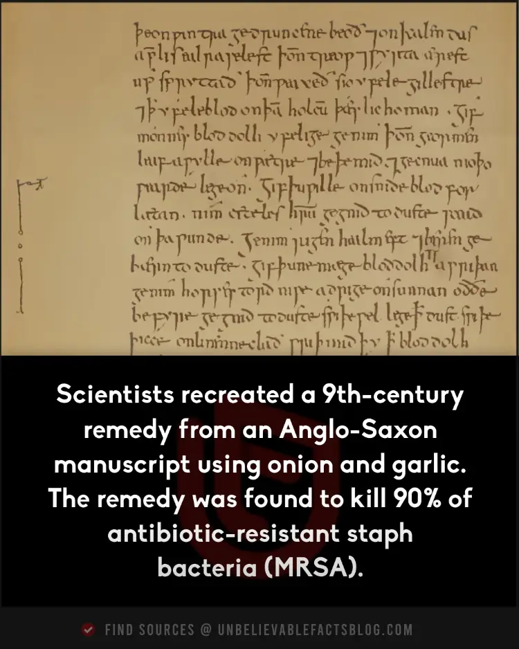 9th-century remedy from an Anglo-Saxon manuscript