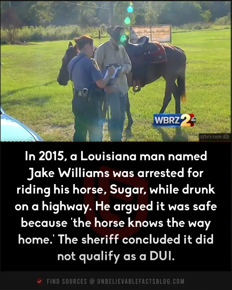 Drunken Louisiana man rides horse