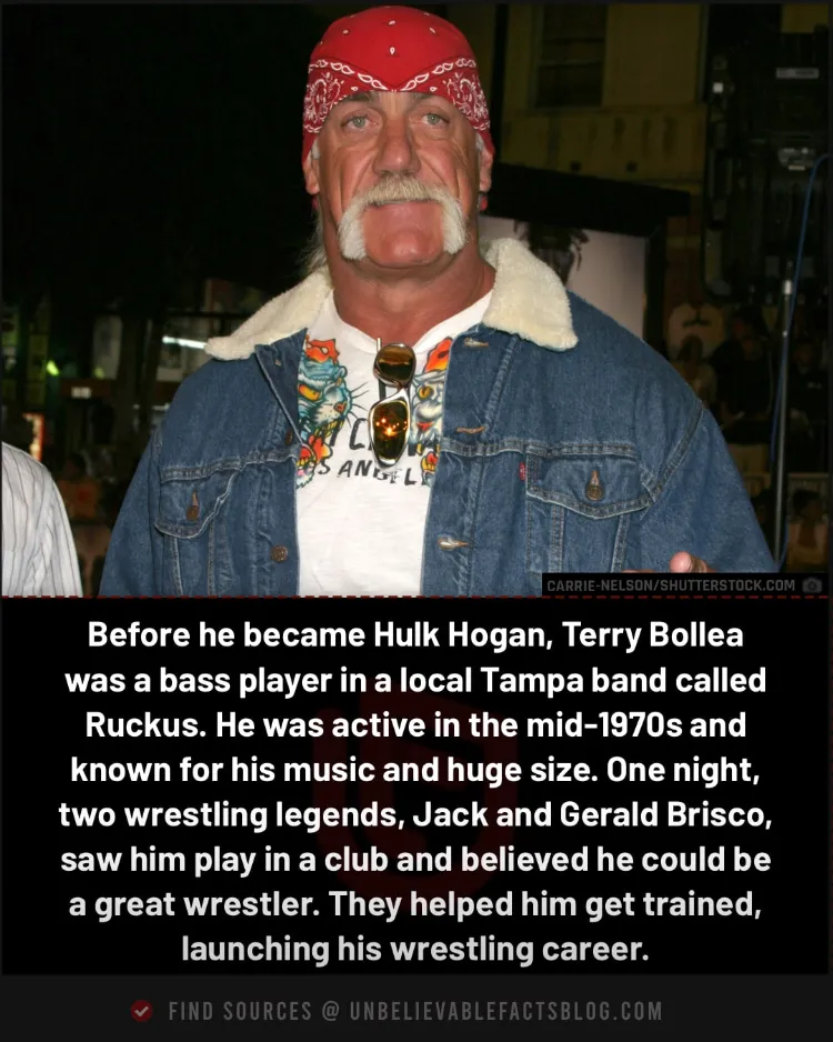 Hogan played bass Hogan played bass