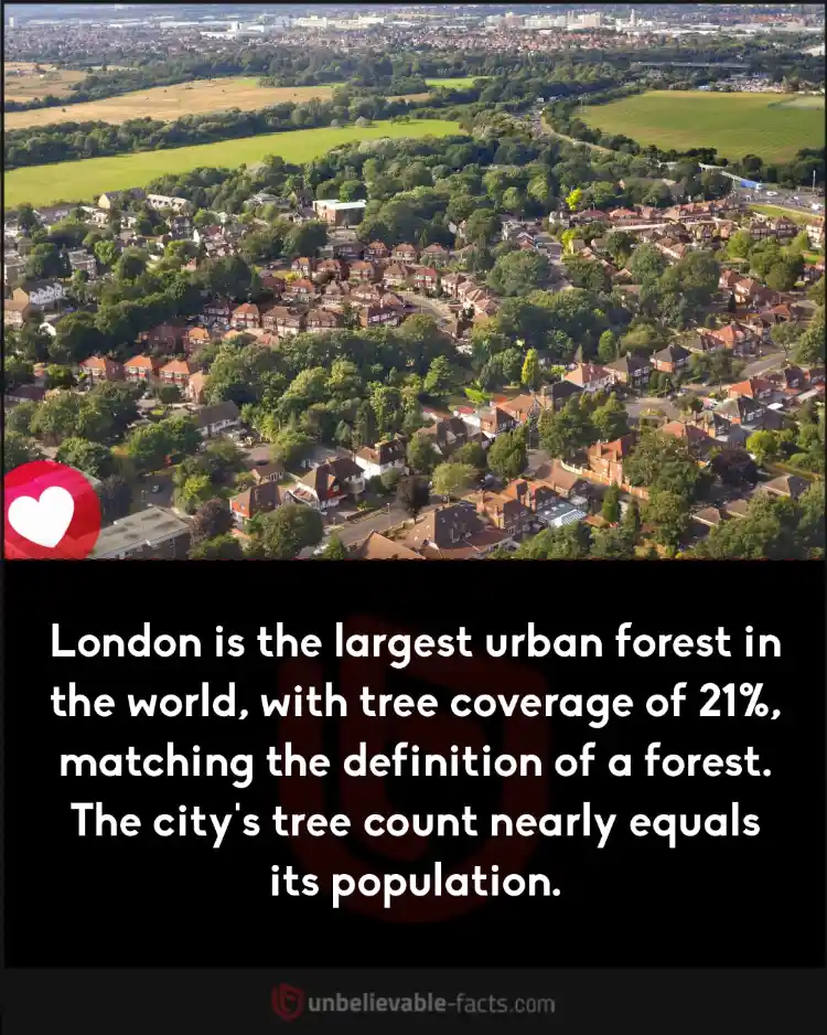 London is the largest urban forest in the world