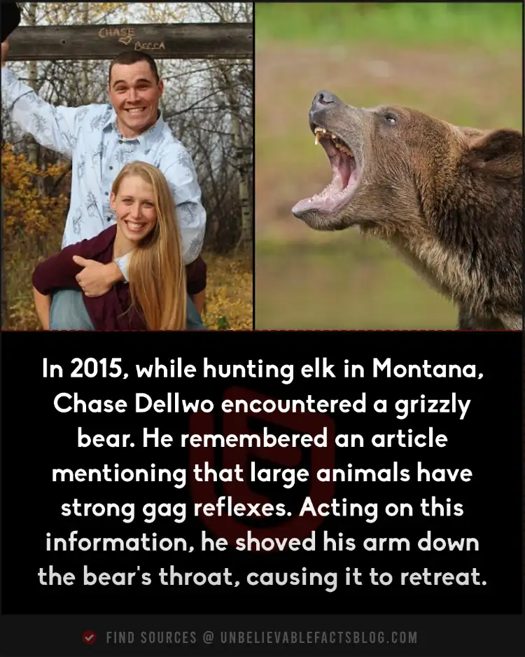 Man survives grizzly attack by triggering bear’s gag reflex.