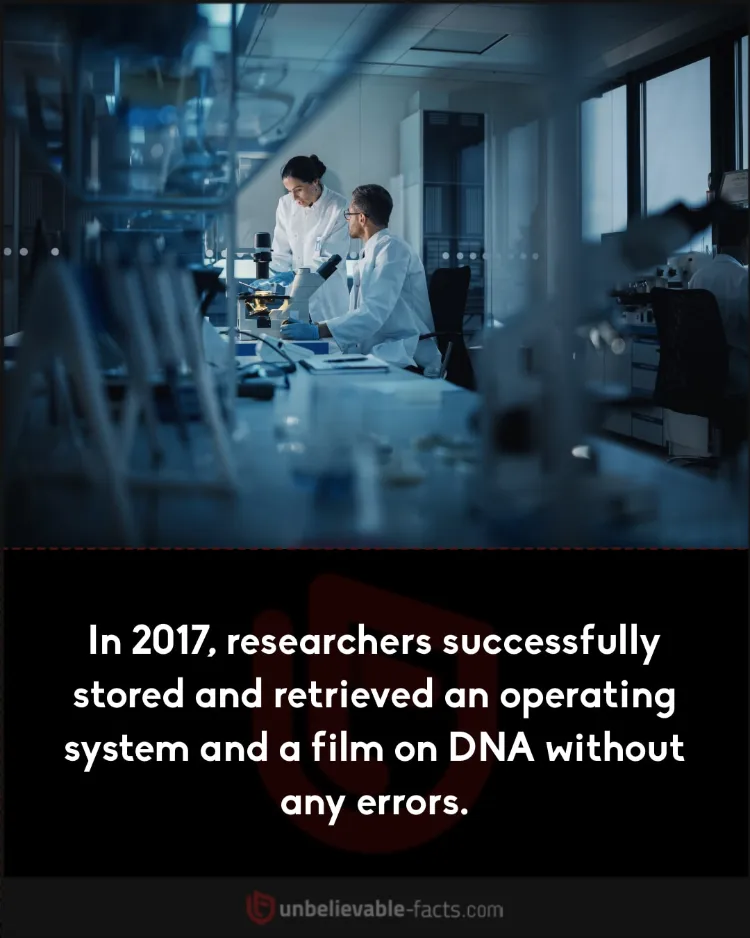 Operating system and film stored on DNA