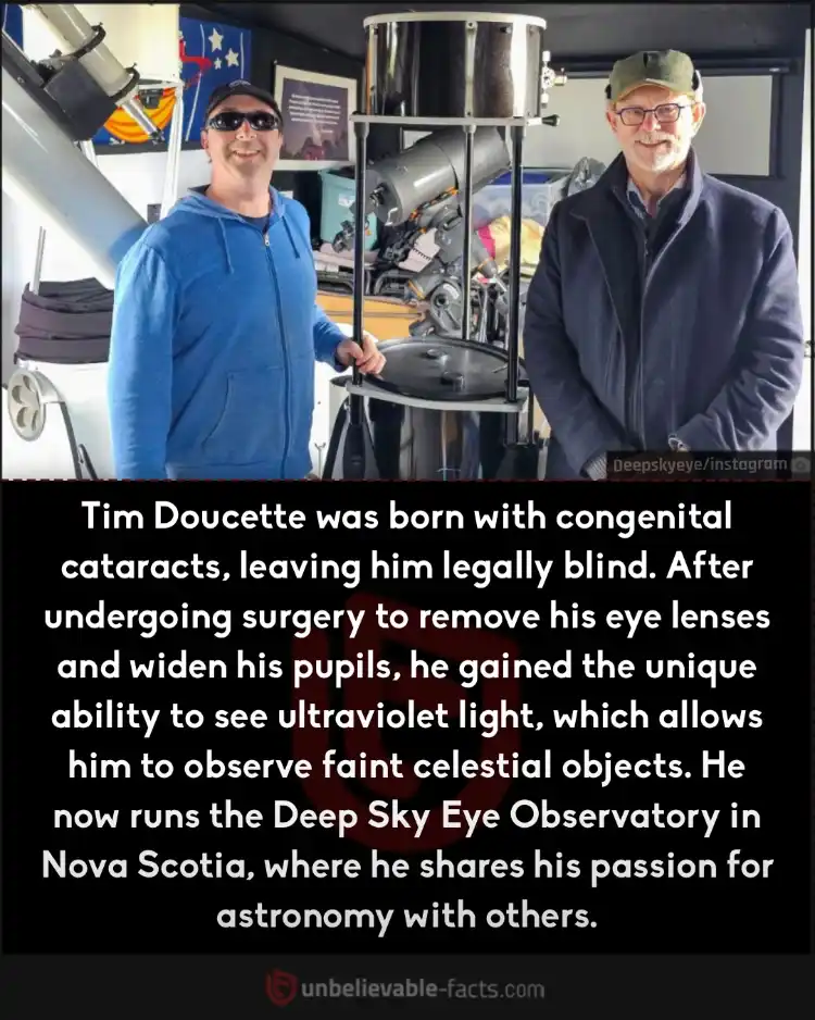 Tim Doucette